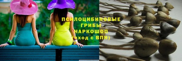 стаф Иннополис