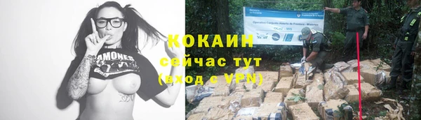 стаф Иннополис
