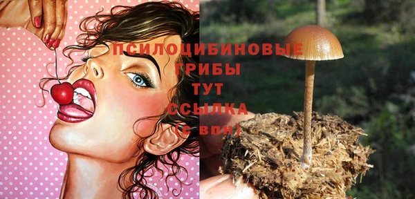 марки nbome Инта